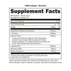 BUCKED UP, PREMIUM PUMP-OCALYPSE, пампинговый предтренировочный комплекс вкус Blood Raz (Красная малина), 389 г (30 порций)