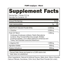 BUCKED UP, PREMIUM PUMP-OCALYPSE, пампинговый предтренировочный комплекс вкус Miami (Клубника, манго, ананас), 360 г (30 порций)