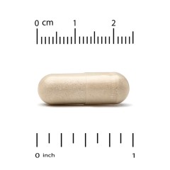California Gold Nutrition, Экстракт листьев оливкового дерева, 500 мг, 60 растительных капсул