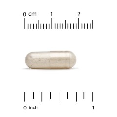 California Gold Nutrition, пищеварительные ферменты, широкого спектра, 90 растительных капсул