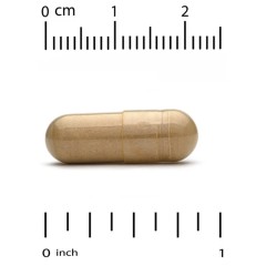 California Gold Nutrition, Fungiology, трутовик разноцветный полного спектра, 90 капсул