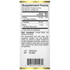 California Gold Nutrition, Холиновый и кремниевый комплекс, кремний для поддержки коллагена, 30 мл