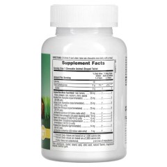 NaturesPlus, Animal Parade, Tummy Zyme актив ферменты продукты и пробиотики, тропик фрукты, 90 шт