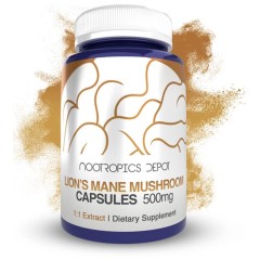 Nootropics Depot, Lion's Mane, Mushroom Extract, ежовик гребенчатый, двойной экстракт львиной гривы 8:1, 500 мг, 60 капсул