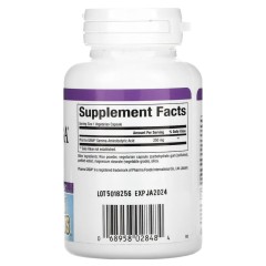 Natural Factors, Stress-Relax, Pharma GABA, 250 мг, 60 вегетарианских капсул