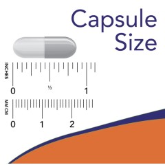 NOW Foods, скорлупа черного ореха, 500 мг, 100 вегетарианских капсул