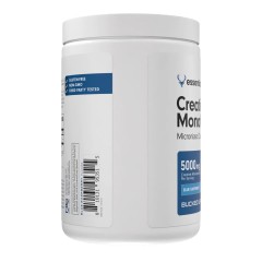 BUCKED UP, Креатин моногидрат, вкус Blue Raspberry (голубая малина), 340 г, (50 порций)