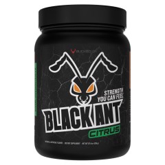 BUCKED UP, Black Ant PREMIUM Pre-Workout, Ноотропный предтренировочный комплекс, вкус Citrus (Цитрус), 634 г (20/40 порций)