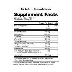 BUCKED UP, Big Bucks Pre-Workout, Flavor Pineapple Splash  (Ананас и кокос), 414 г, (30 порций)