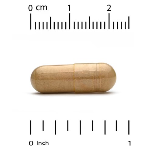 California Gold Nutrition, Fungiology, трутовик разноцветный полного спектра, 90 вегетарианских капсул