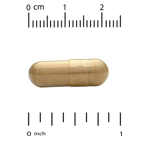 California Gold Nutrition, комплекс с силимарином с экстрактом расторопши, одуванчиком, артишоком, имбирем и BioPerine, 360 растительных капсул