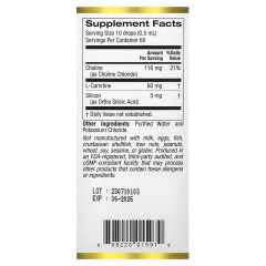 California Gold Nutrition, Холиновый и кремниевый комплекс, кремний для поддержки коллагена, 30 мл (60 порций)