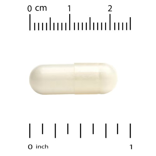 California Gold Nutrition, EuroHerbs, экстракт эхинацеи, качество Euromed, 80 мг, 180 растительных капсул