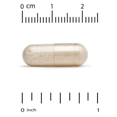 California Gold Nutrition, грибной комплекс с эрготионеином, 90 растительных капсул