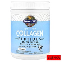 Garden of Life, Пептиды из коллагена из мяса животных травяного откорма, без ароматизаторов, 560 г