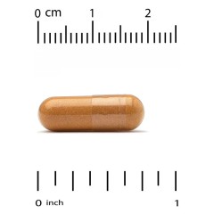 Lake Avenue Nutrition, Лютеин, 10 мг, 180 растительных капсул