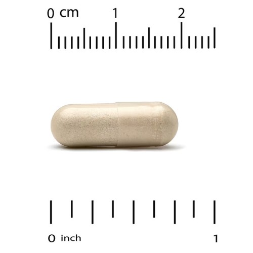 Lake Avenue Nutrition, экстракт расторопши, 175 мг, 240 растительных капсул