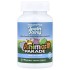 NaturesPlus, Source of Life, Animal Parade, детские жевательные пробиотики M18, ваниль, 90 таблеток (45 порций)