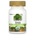 NaturesPlus, Source of Life Garden, железо, 18 мг, 30 веганских капсул