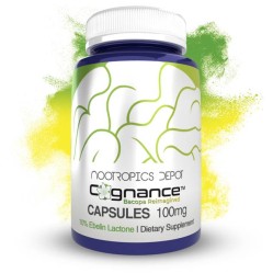 Nootropics Depot, Cognance Enhanced Bacopa, экстракт бакопы, 100 мг, 60 капсул
