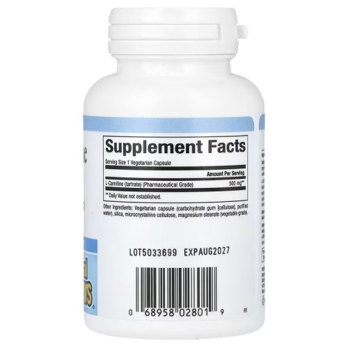 Natural Factors, L-карнитин, 500 мг, 60 вегетарианских капсул