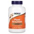 NOW Foods, Растительные ферменты, 240 растительных капсул (УЦЕНКА! Срок годности: 12/25)