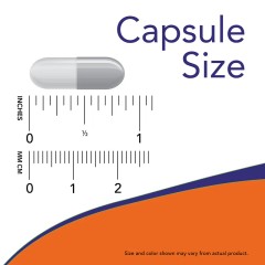 NOW Foods, Виноградные косточки, стандартизированный экстракт, 100 мг, 100 растительных капсул