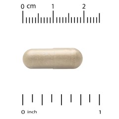 NOW Foods, Экстракт расторопши, двойная сила действия, 300 мг, 200 растительных капсул