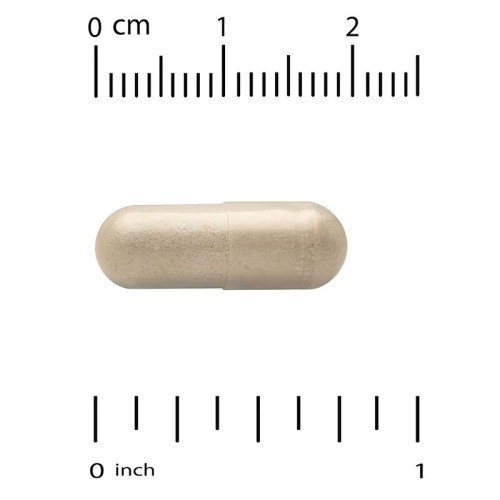 NOW Foods, Экстракт расторопши, двойная сила действия, 300 мг, 200 растительных капсул