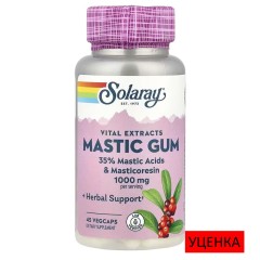 Solaray, мастиковая смола, 1000 мг, 45 вегетарианских капсул (500 мг в 1 капсуле)