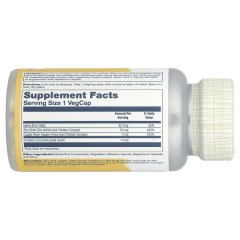 Solaray, цинк и медь с бурыми водорослями и тыквенными семечками, 100 растительных капсул