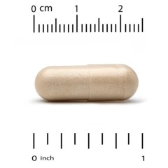 Super Nutrition, Bergamot Phytosome, фитосома бергамота с экстрактом бергамота, 500 мг, 60 растительных капсул