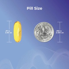 THERALOGIX, TherOmega, 270 капсул, 270 (порций)