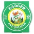 Badger Company, Бальзам с защитой от насекомых с цитронеллой и розмарином, 56 г